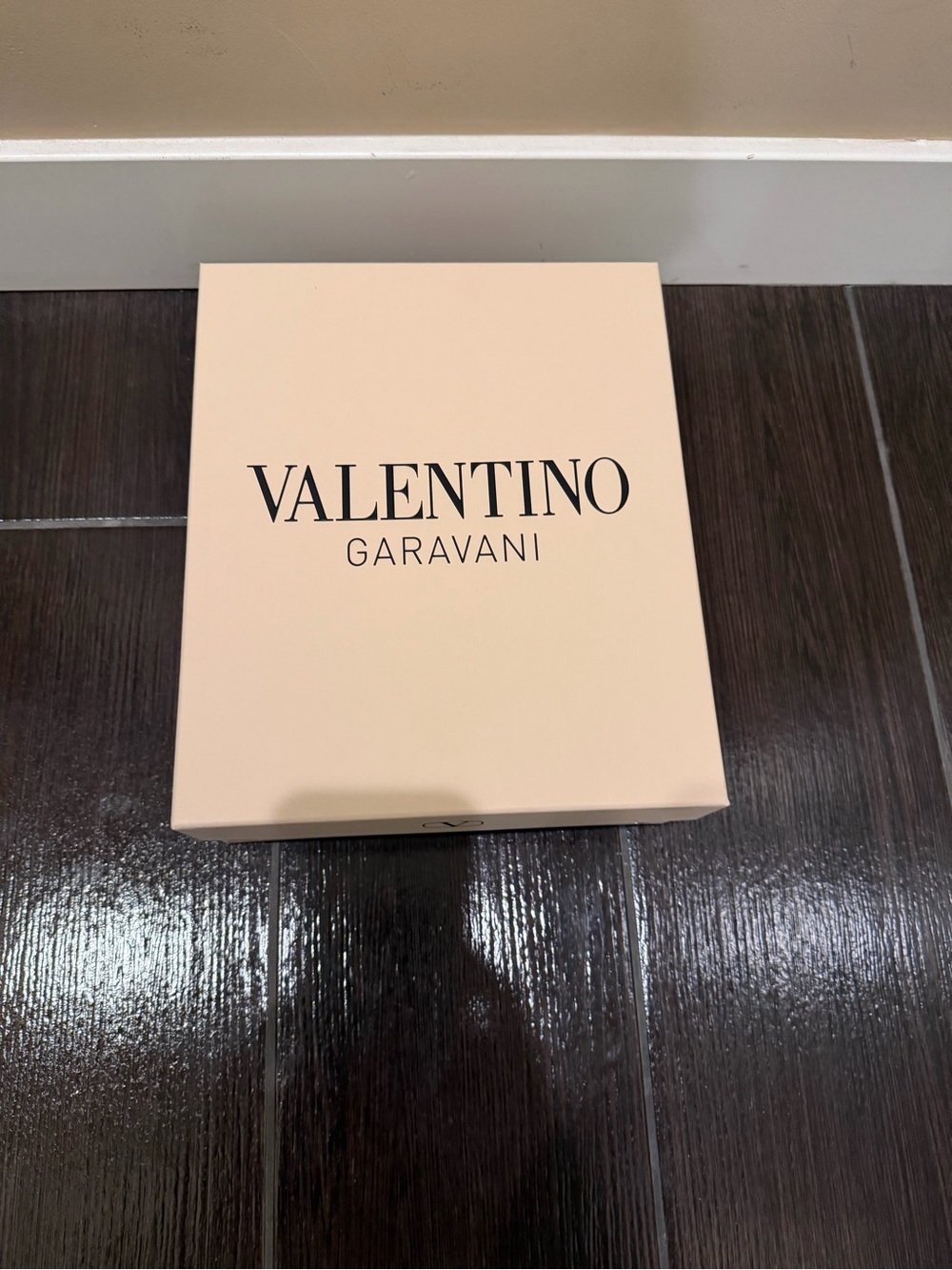 Valentino Garavani Shoe Box + 2 Brand-New Dust Bags